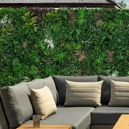 designerplantsau