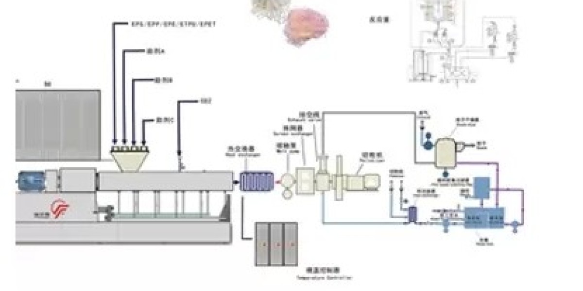 Selecting the Right EPP Particle Machine: Key Features to Consider