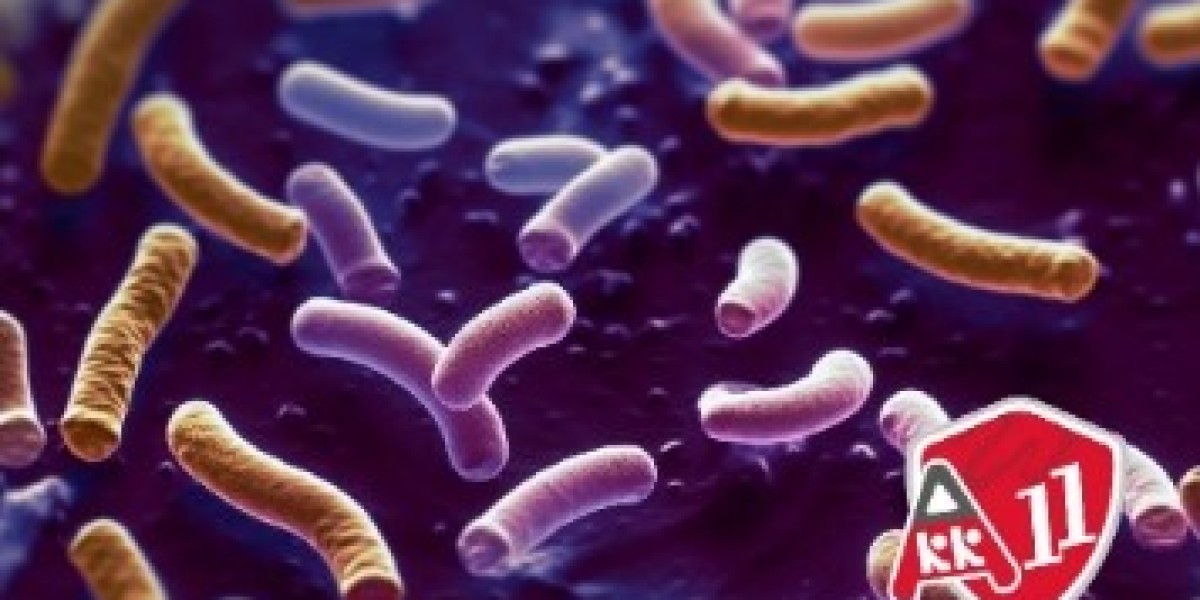 The Power of Akkermansia muciniphila: A Game-Changer in Probiotics